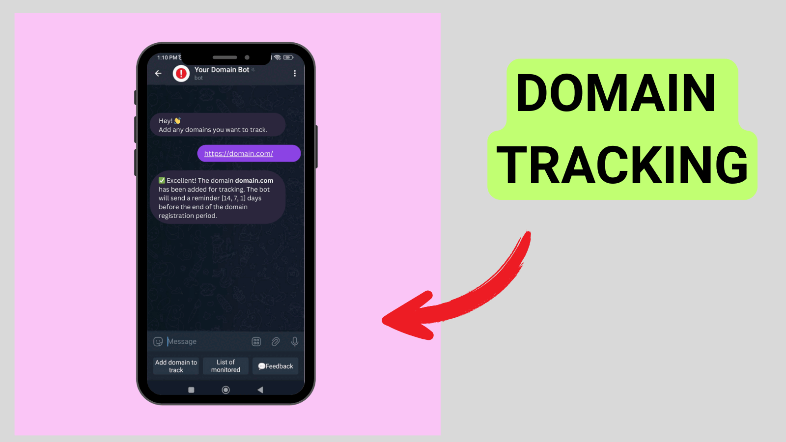 The Telegram bot tracks all added domains and sends alerts before they expire