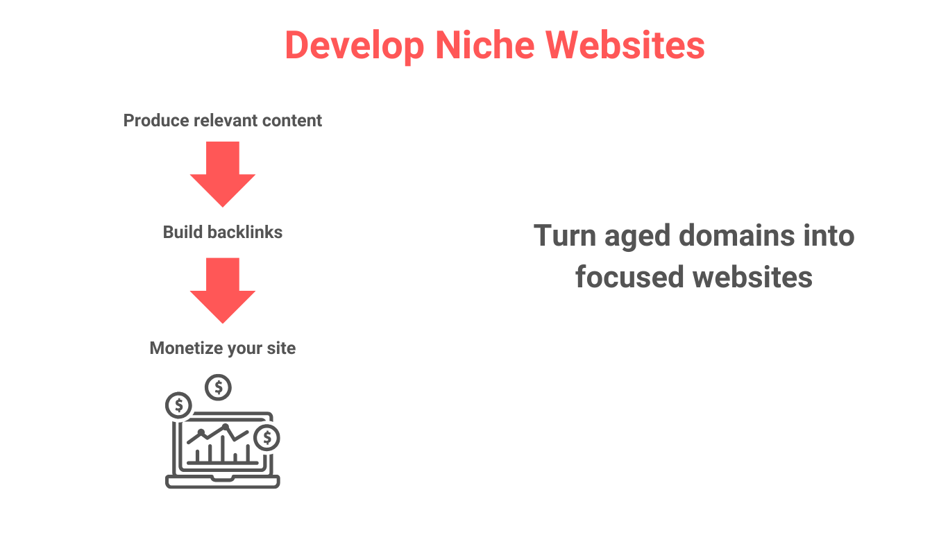 develop niche websites