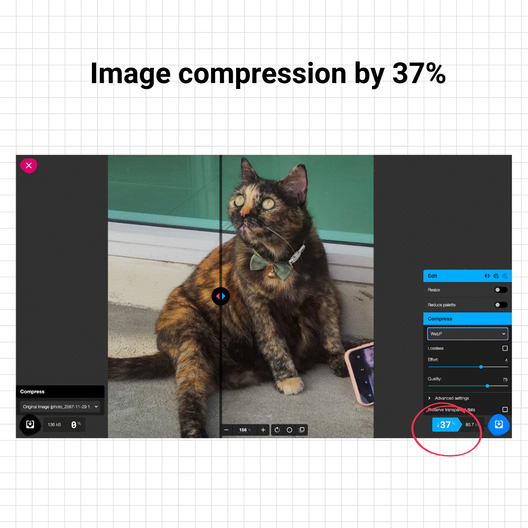 For example, to compress an image in Squoosh, a photo of a turtle-colored cat named Meo Won from Phuket CondoPlusOne in Thailand was used.