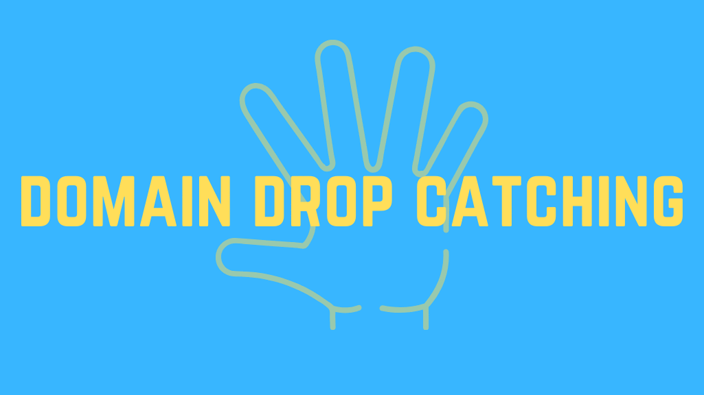 domain drop catching
