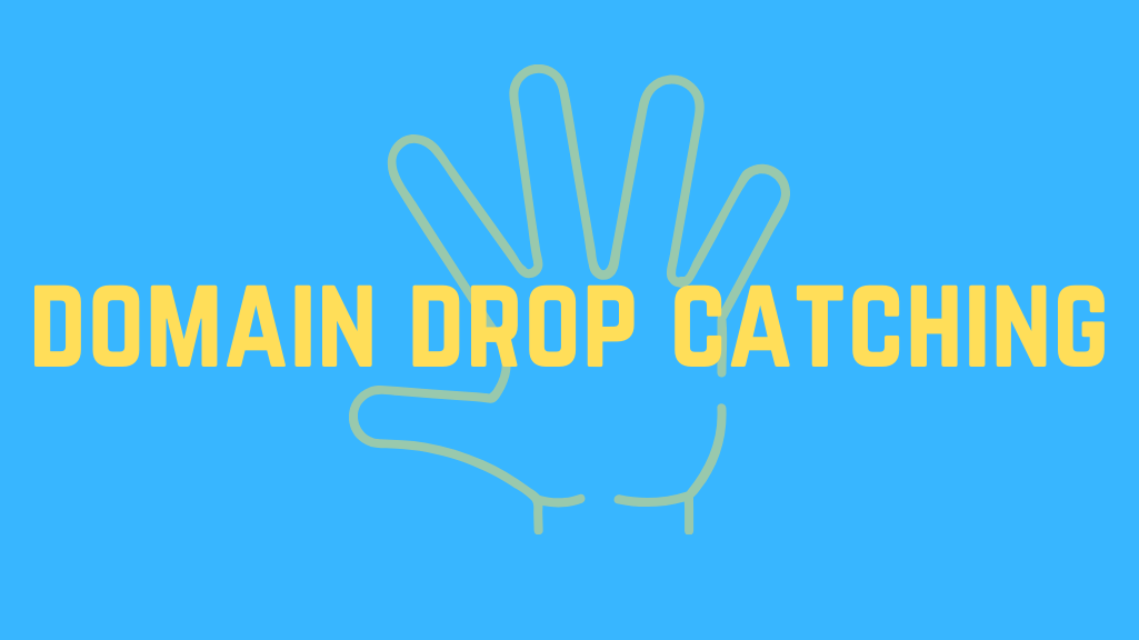 Domain drop catching: A simple guide